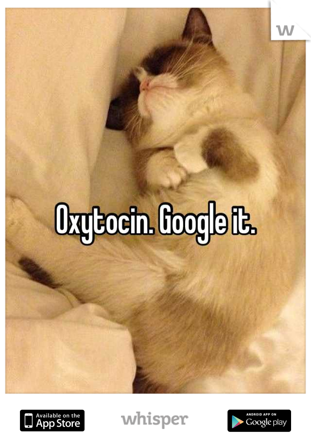 Oxytocin. Google it.