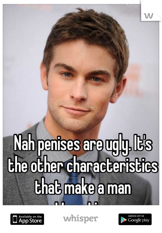 Nah penises are ugly. It's the other characteristics that make a man attractive. 
