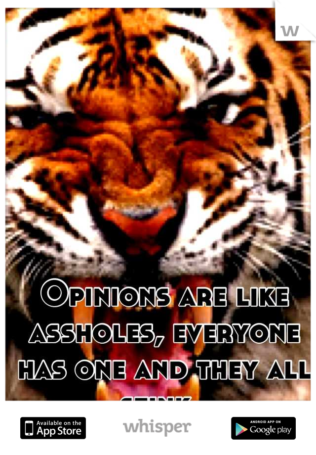 Opinions are like assholes, everyone has one and they all stink. 