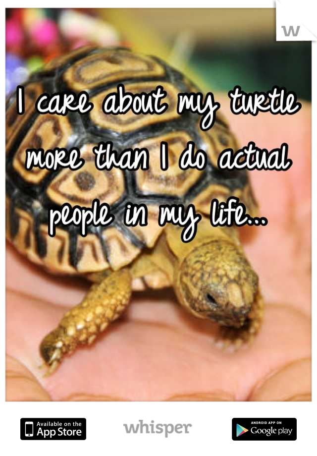I care about my turtle more than I do actual people in my life...