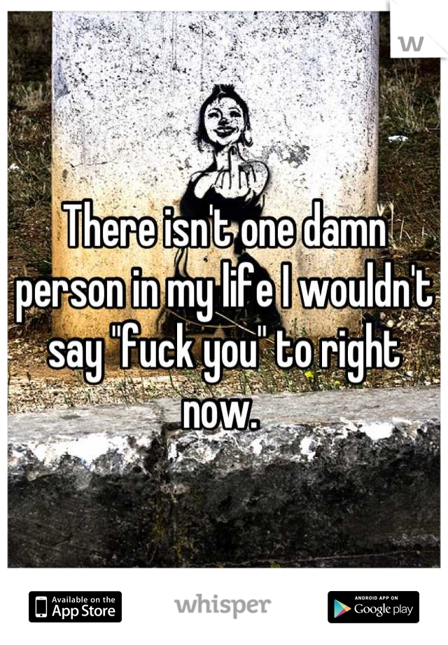 There isn't one damn person in my life I wouldn't say "fuck you" to right now. 