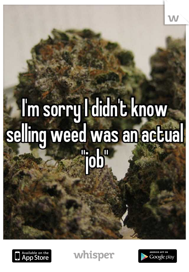 I'm sorry I didn't know selling weed was an actual "job"