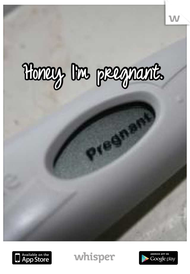 Honey I'm pregnant.