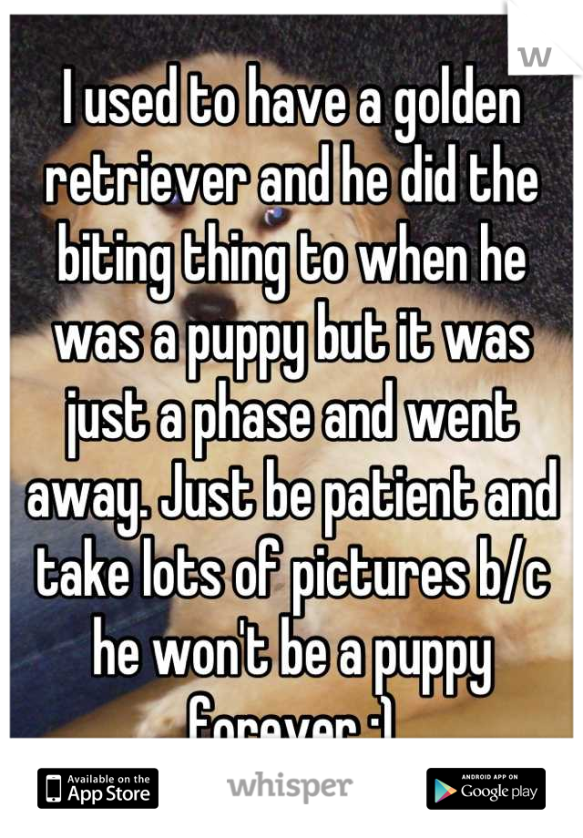 I used to have a golden retriever and he did the biting thing to when he was a puppy but it was just a phase and went away. Just be patient and take lots of pictures b/c he won't be a puppy forever :)