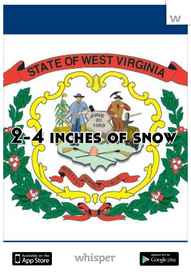 2-4 inches of snow 