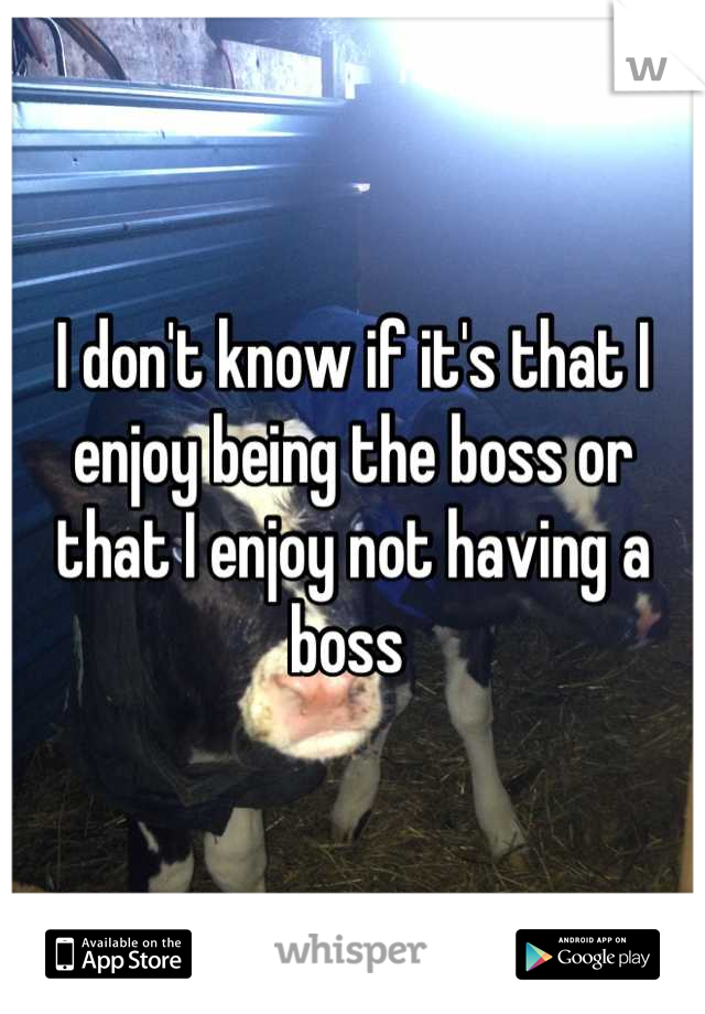 I don't know if it's that I enjoy being the boss or that I enjoy not having a boss 