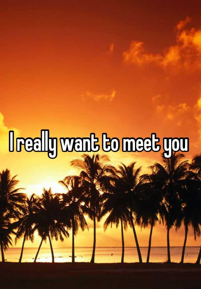 I Want To Meet You Or Meet With You