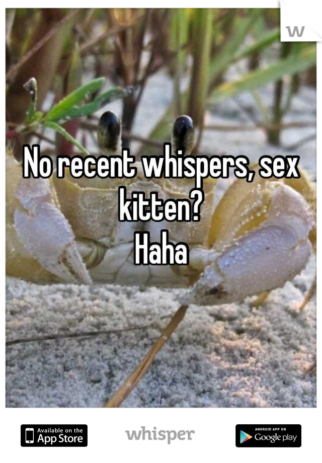 No recent whispers, sex kitten?
Haha

