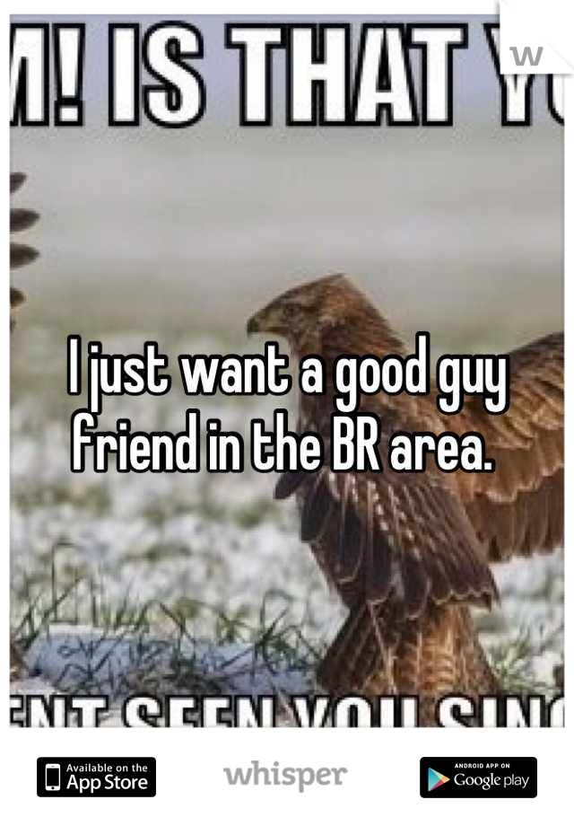 I just want a good guy friend in the BR area. 