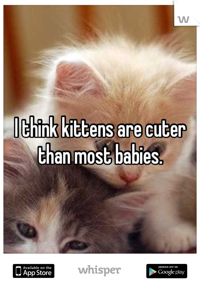 I think kittens are cuter than most babies.
