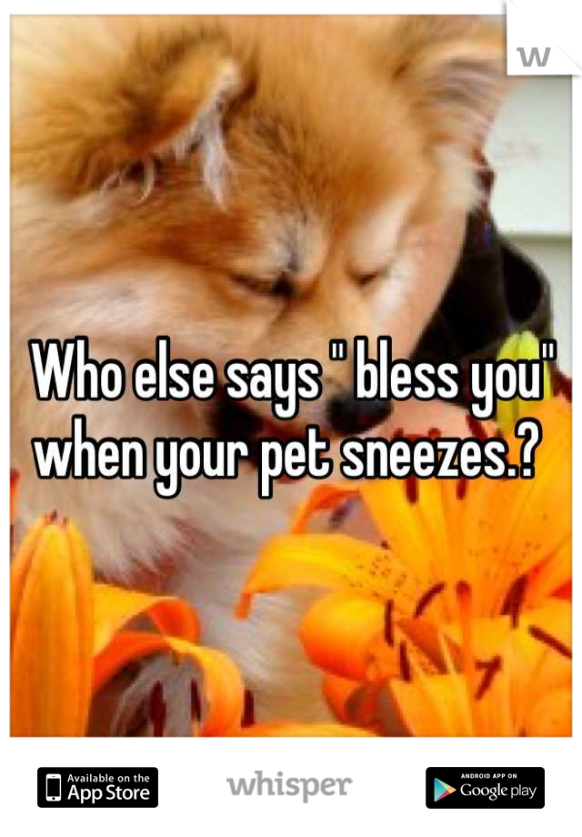 Who else says " bless you" when your pet sneezes.? 