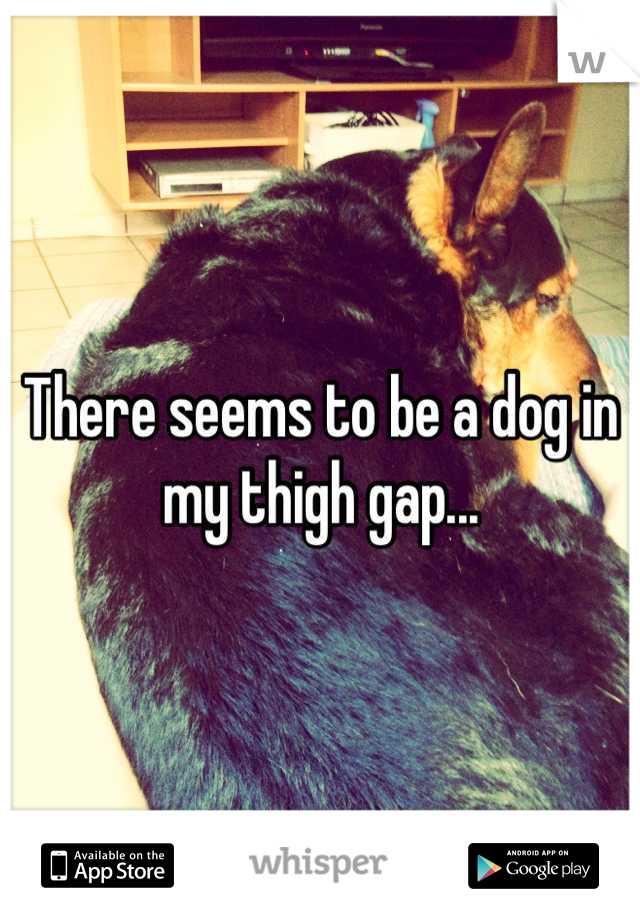 There seems to be a dog in my thigh gap...