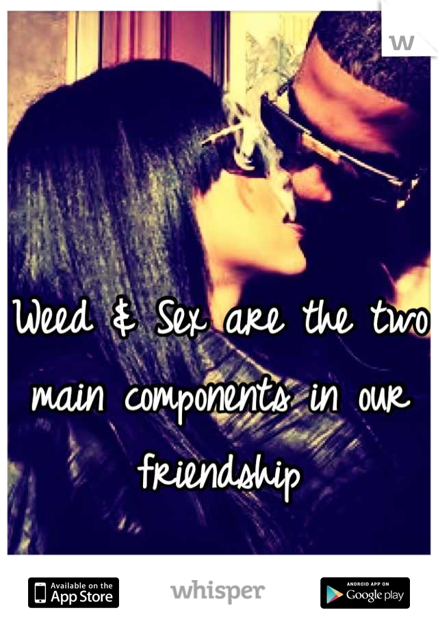 Weed & Sex are the two main components in our friendship