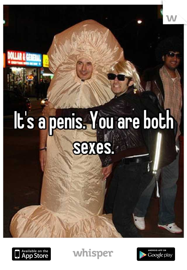 It's a penis. You are both sexes.