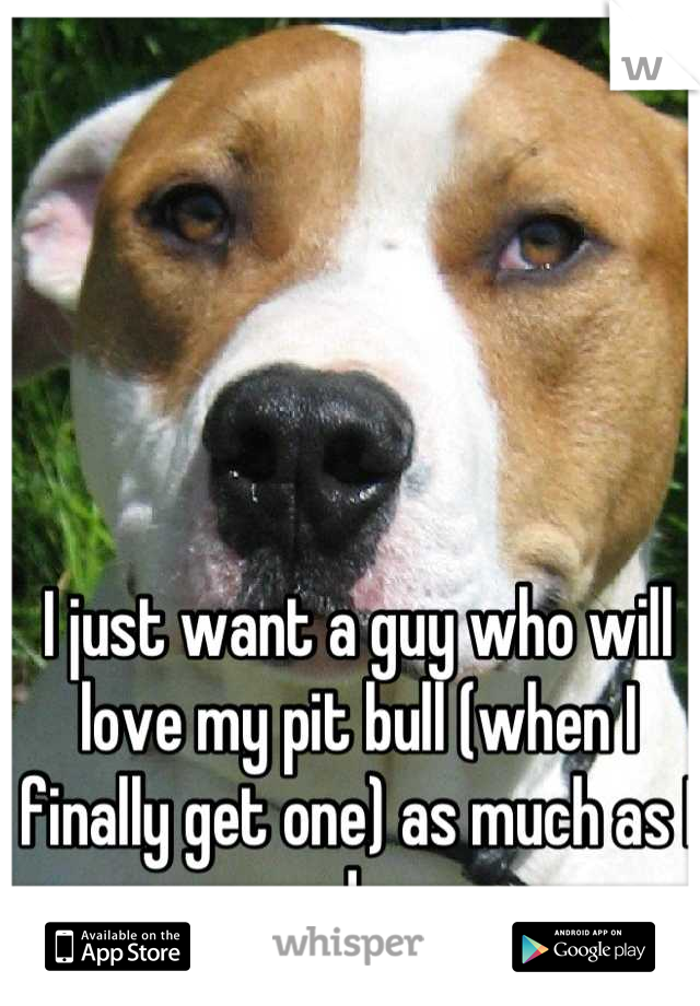 I just want a guy who will love my pit bull (when I finally get one) as much as I do