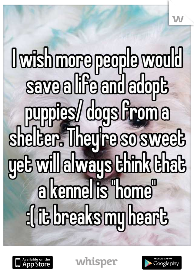 I wish more people would save a life and adopt puppies/ dogs from a shelter. They're so sweet yet will always think that a kennel is "home" 
 :( it breaks my heart 