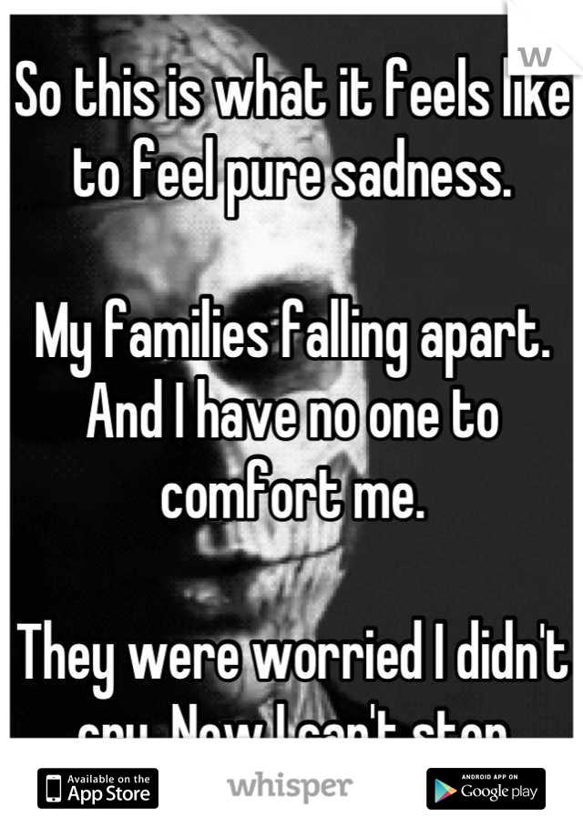So this is what it feels like to feel pure sadness. 

My families falling apart. And I have no one to comfort me. 

They were worried I didn't cry. Now I can't stop