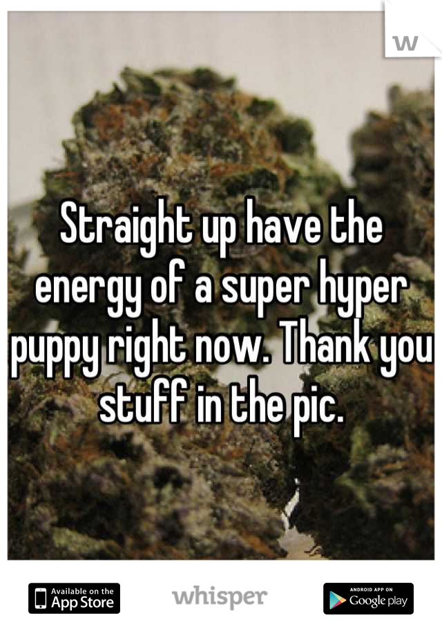 Straight up have the energy of a super hyper puppy right now. Thank you stuff in the pic.