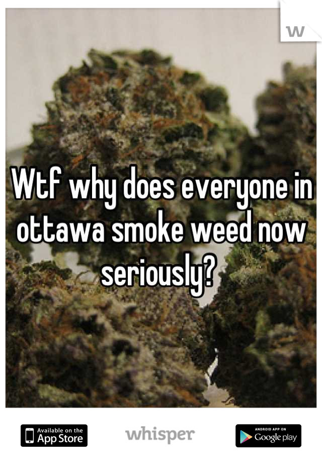 Wtf why does everyone in ottawa smoke weed now seriously? 