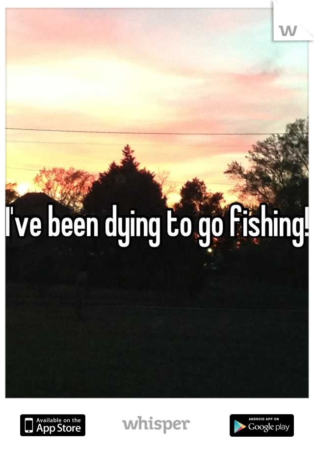 I've been dying to go fishing! 