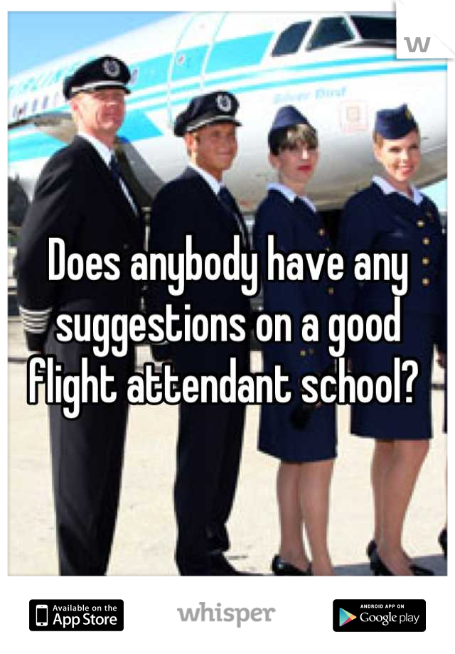 Does anybody have any suggestions on a good flight attendant school? 