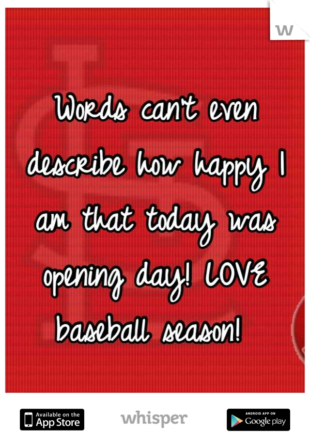 Words can't even describe how happy I am that today was opening day! LOVE baseball season! 