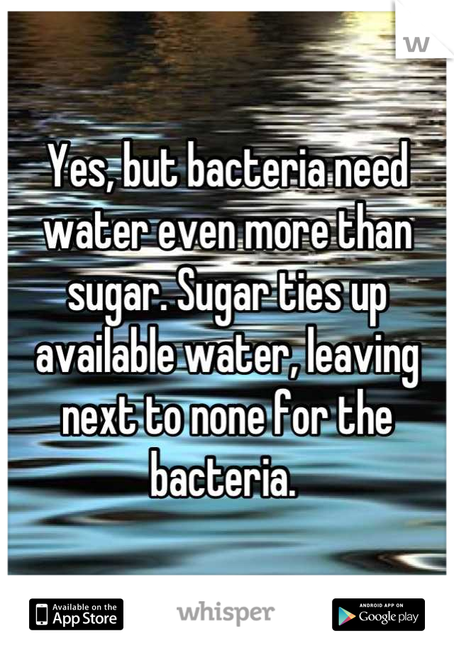 Yes, but bacteria need water even more than sugar. Sugar ties up available water, leaving next to none for the bacteria. 