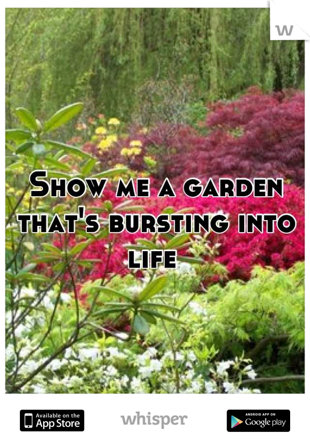 Show me a garden that's bursting into life 