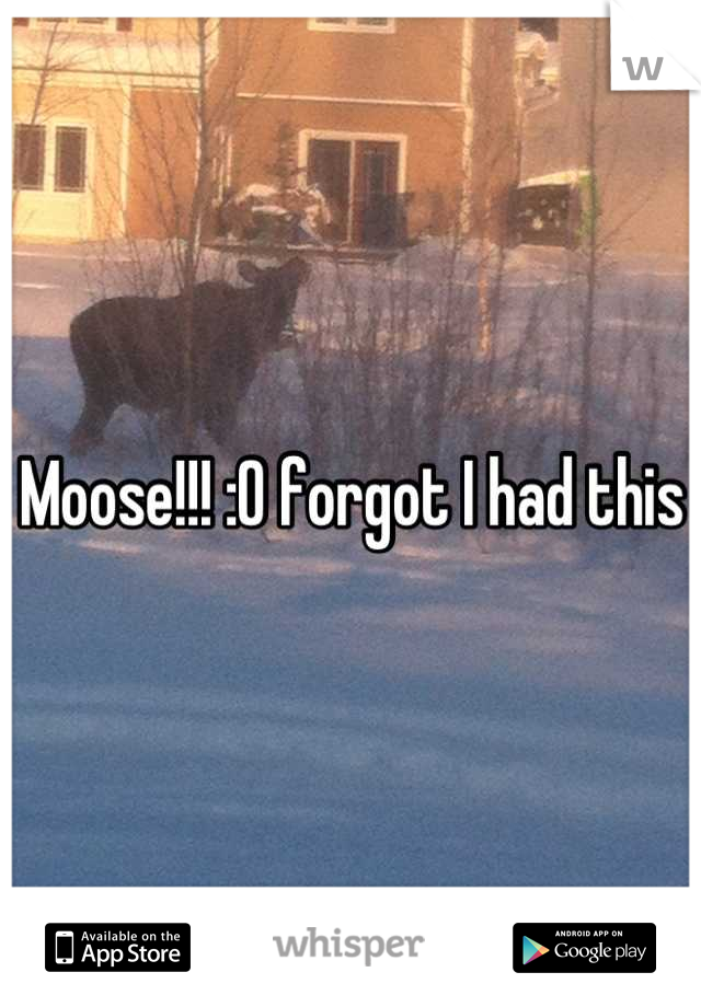 Moose!!! :O forgot I had this