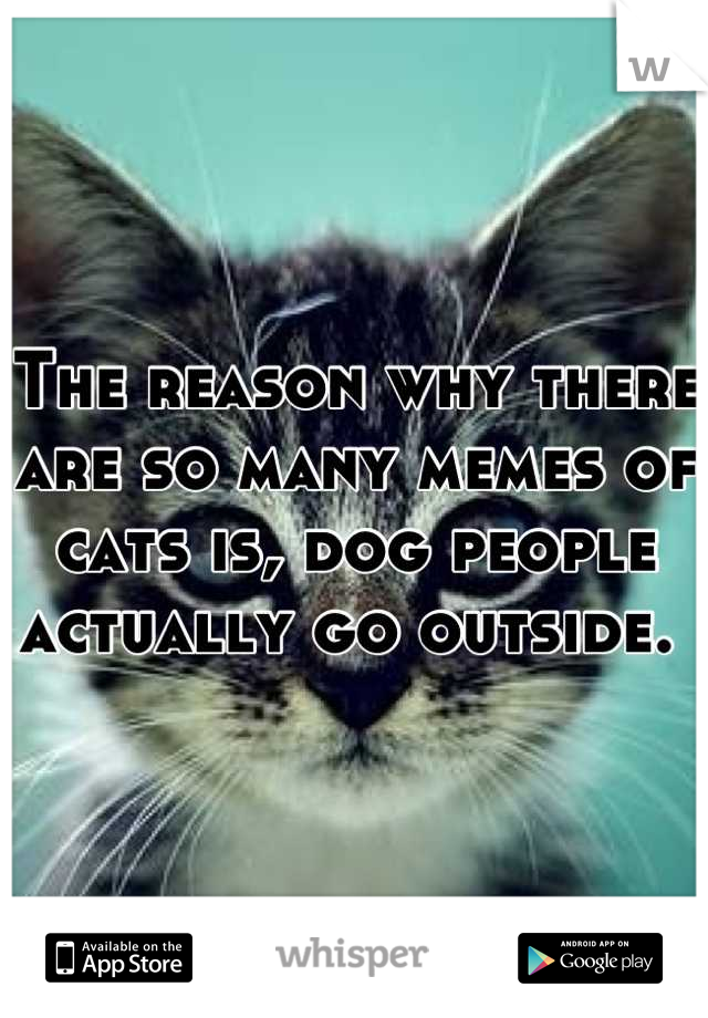 The reason why there are so many memes of cats is, dog people actually go outside. 