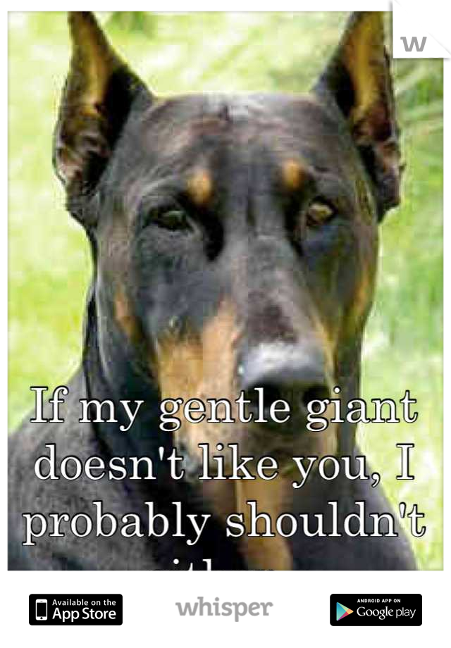 If my gentle giant doesn't like you, I probably shouldn't either. 