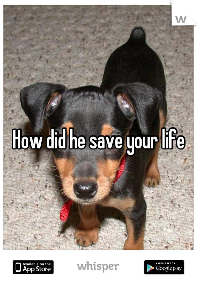 How did he save your life
