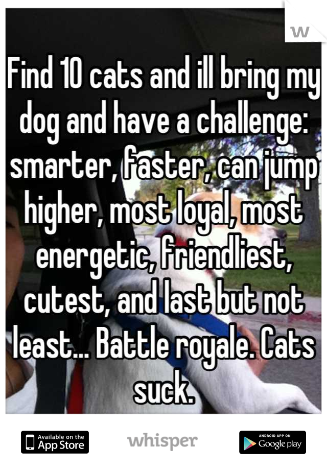 Find 10 cats and ill bring my dog and have a challenge: smarter, faster, can jump higher, most loyal, most energetic, friendliest, cutest, and last but not least... Battle royale. Cats suck.