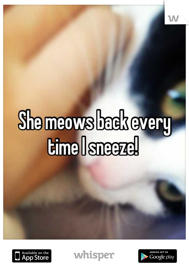 She meows back every time I sneeze! 