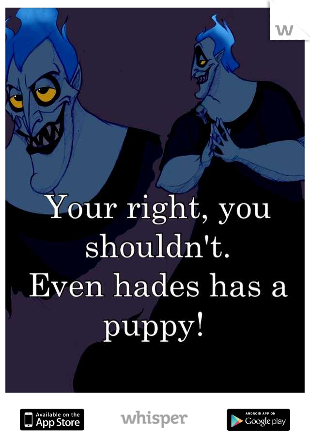 Your right, you shouldn't.
Even hades has a puppy! 