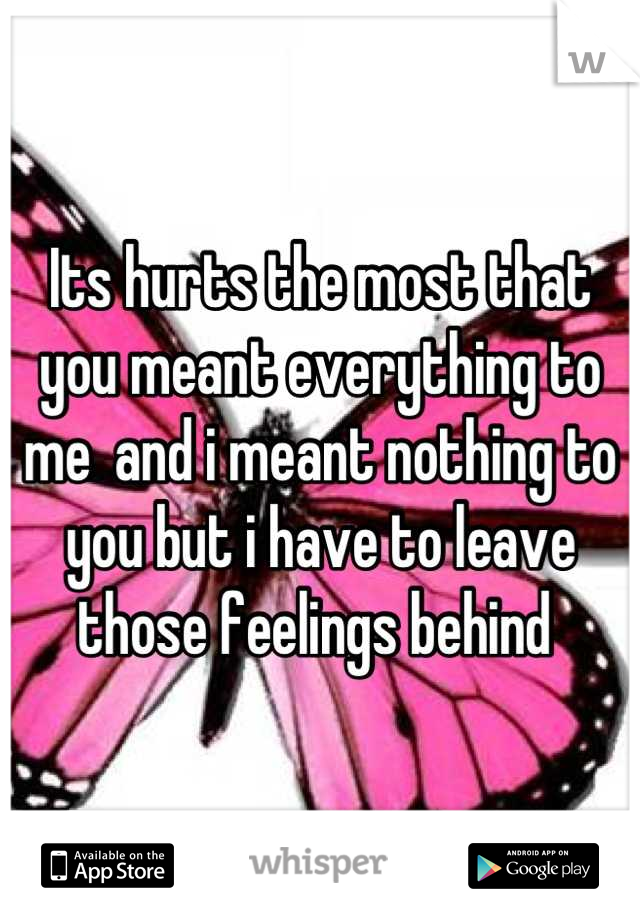Its hurts the most that you meant everything to me  and i meant nothing to you but i have to leave those feelings behind 
