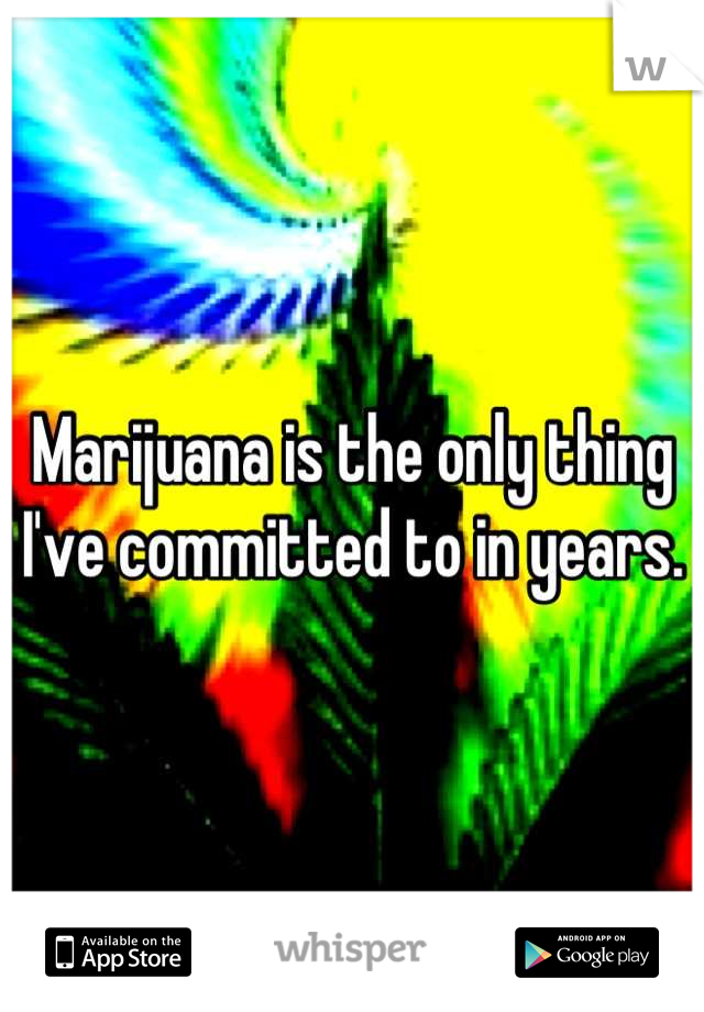 Marijuana is the only thing I've committed to in years.