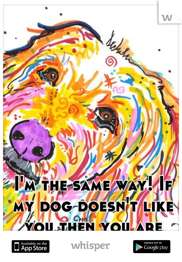 I'm the same way! If my dog doesn't like you then you are fucked lol. 