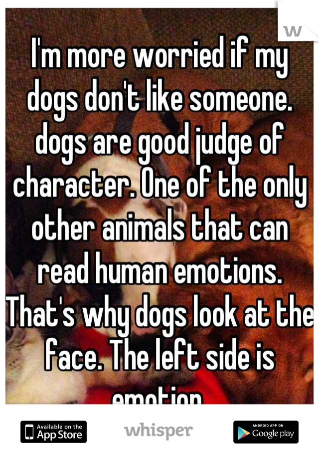 I'm more worried if my dogs don't like someone. dogs are good judge of character. One of the only other animals that can read human emotions. That's why dogs look at the face. The left side is emotion 