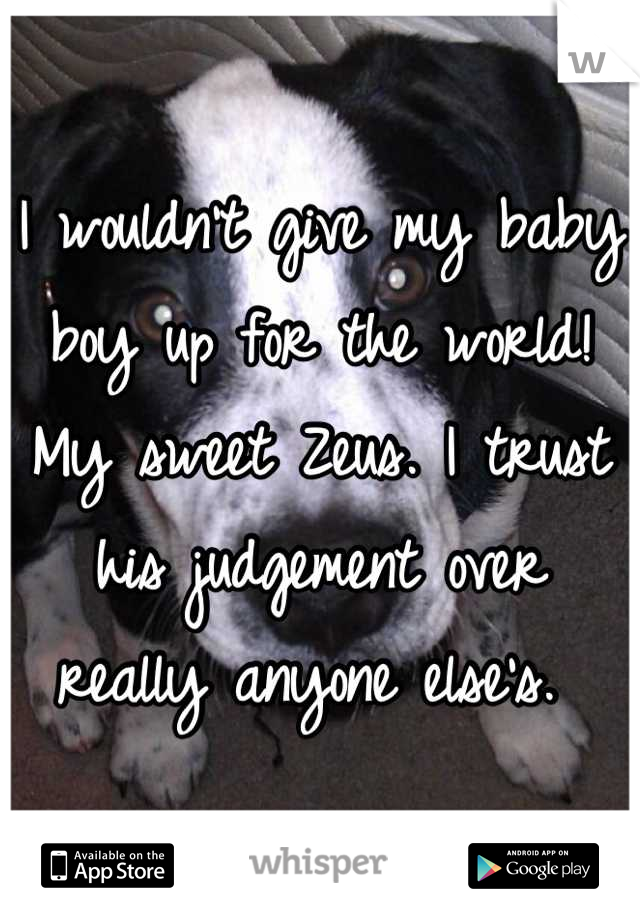 I wouldn't give my baby boy up for the world! My sweet Zeus. I trust his judgement over really anyone else's. 