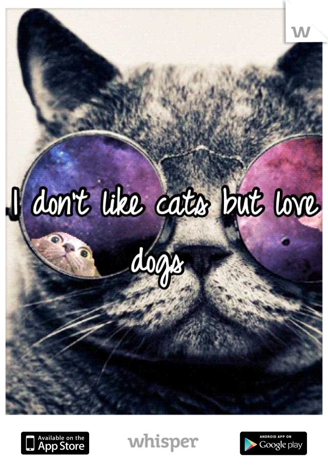 I don't like cats but love dogs 