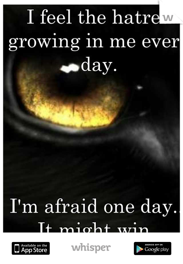 I feel the hatred growing in me every day. 





I'm afraid one day...
It might win. 