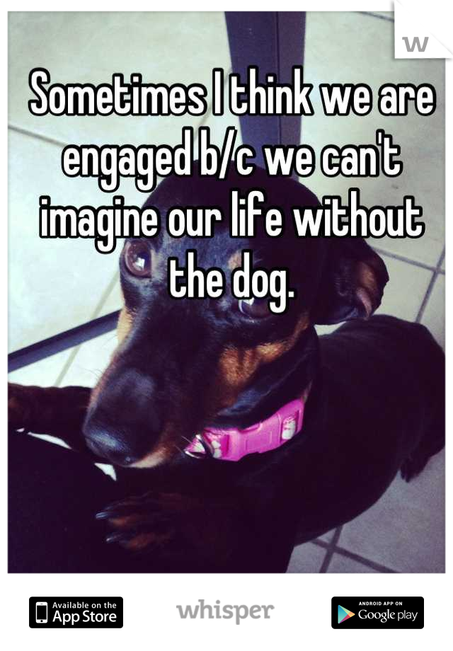 Sometimes I think we are engaged b/c we can't imagine our life without the dog.
