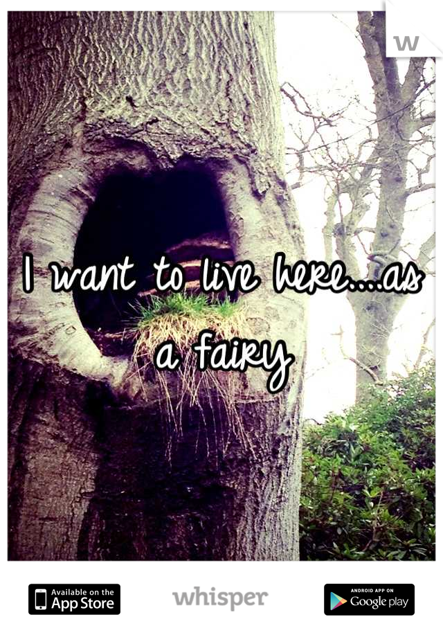 I want to live here....as a fairy