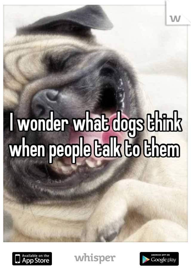 I wonder what dogs think when people talk to them 
