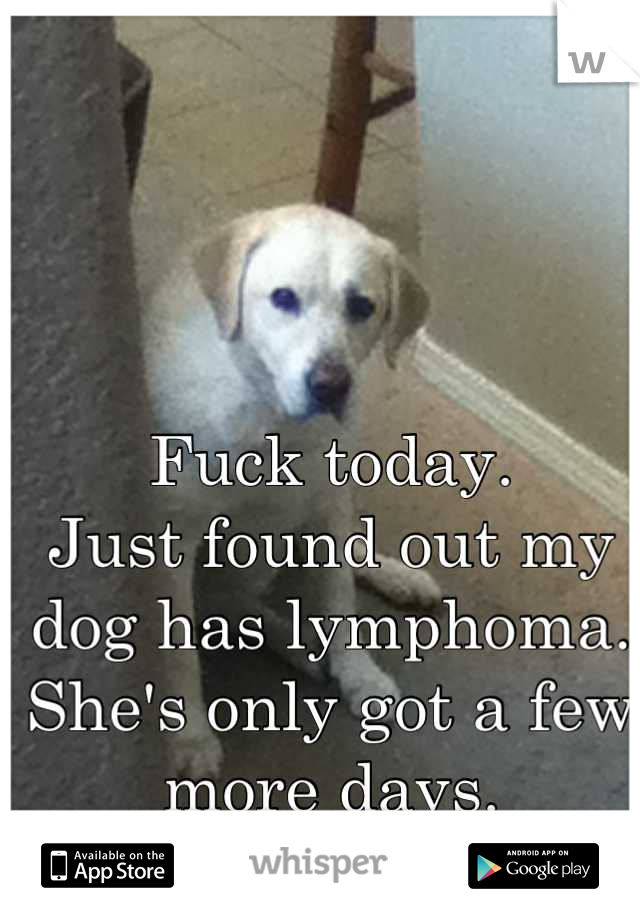 Fuck today. 
Just found out my dog has lymphoma.
She's only got a few more days.
This is bullshit.