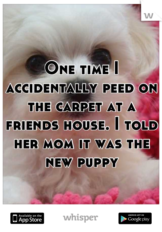One time I accidentally peed on the carpet at a friends house. I told her mom it was the new puppy