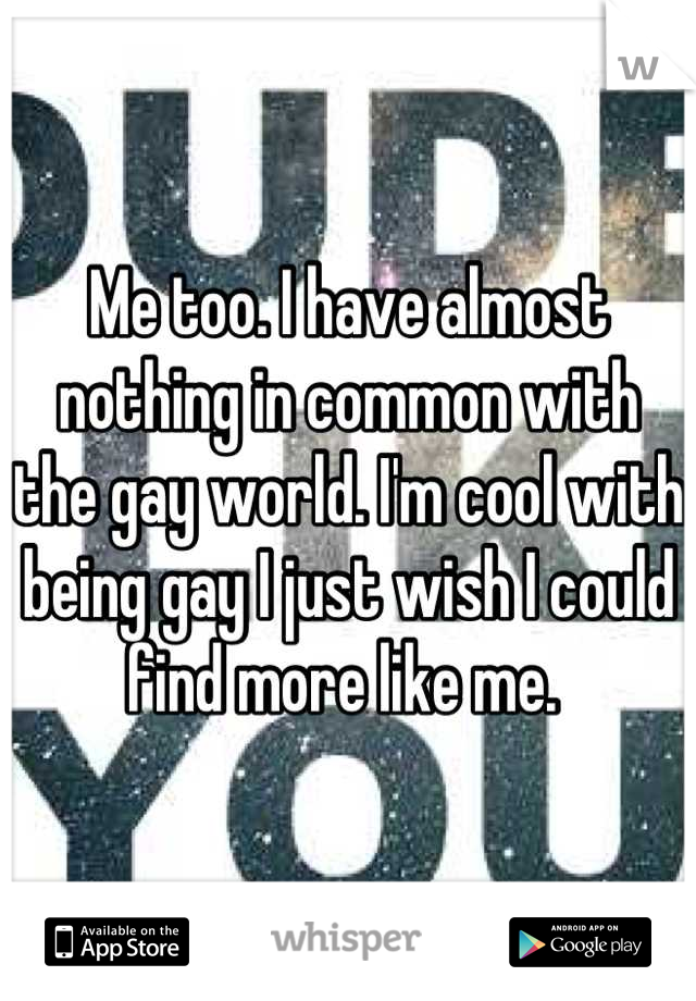 Me too. I have almost nothing in common with the gay world. I'm cool with being gay I just wish I could find more like me. 