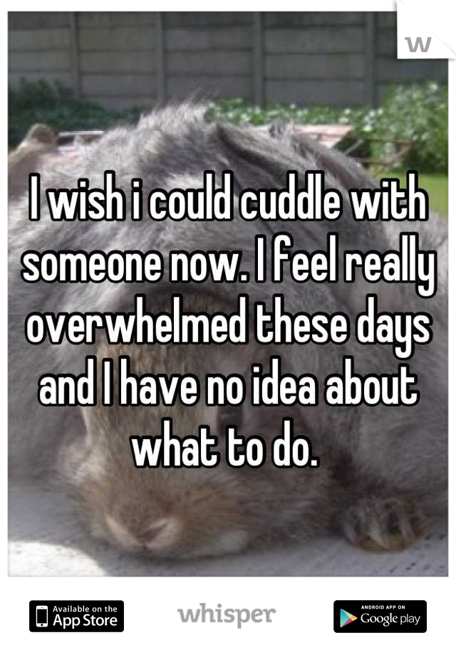 I wish i could cuddle with someone now. I feel really overwhelmed these days and I have no idea about what to do. 