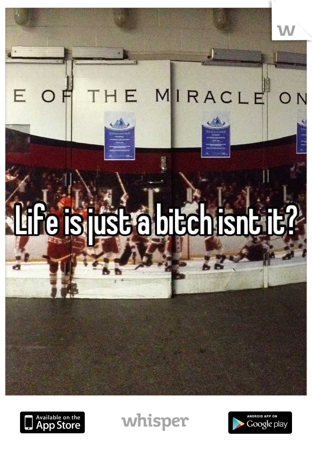 Life is just a bitch isnt it?